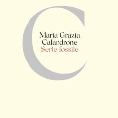 Il tempo stabilito dalla natura: ‘Serie fossile’ di Maria Grazia Calandrone, Crocetti Editore